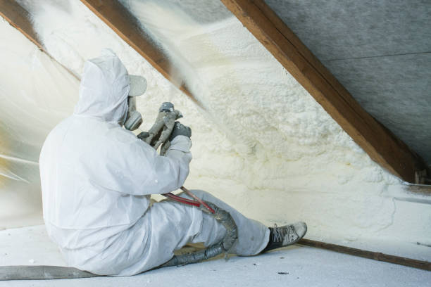 Best Wall Insulation Installation  in USA